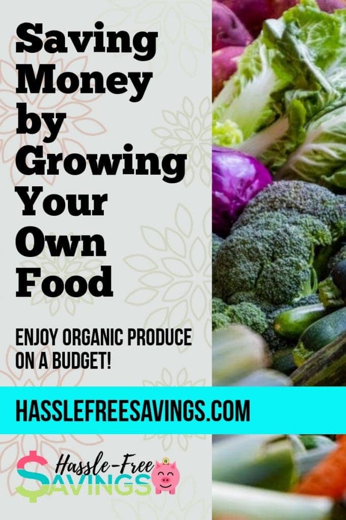 save money by growing your own food
