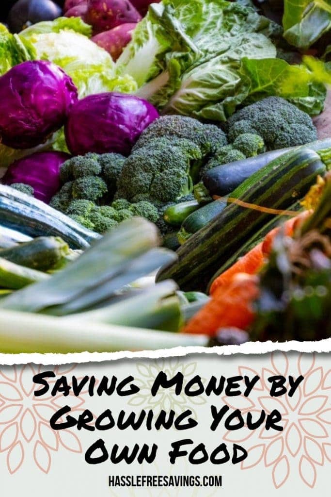 saving money by growing your own food