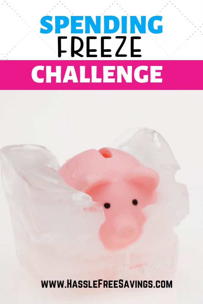 No Spend Savings Challenge - Are you ready to start your spending freeze? 9 Different Savings challenges with FREE PRINTABLES to track your savings goals with these free savings trackers. Available at hasslefreesavings.com #savingstracker #freeprintables #savingsgoal #52weeksavingsplan #monthlysavings #savingschallenge