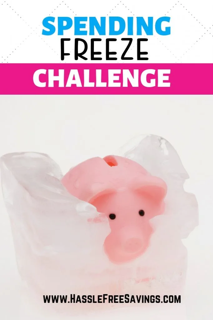 No Spend Savings Challenge - Are you ready to start your spending freeze? 9 Different Savings challenges with FREE PRINTABLES to track your savings goals with these free savings trackers. Available at hasslefreesavings.com #savingstracker #freeprintables #savingsgoal #52weeksavingsplan #monthlysavings #savingschallenge