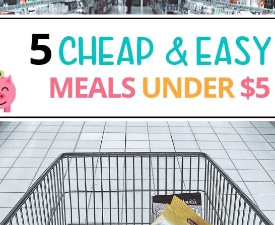 5 cheap and easy meals under 5