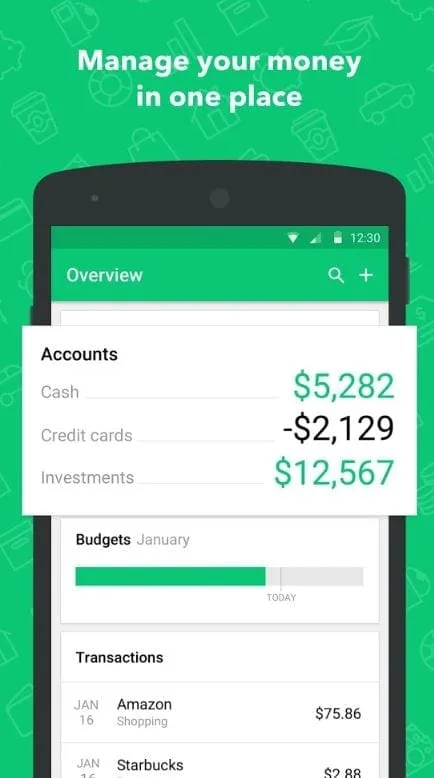 Mint Graphic of Overview expenses on  tracking app