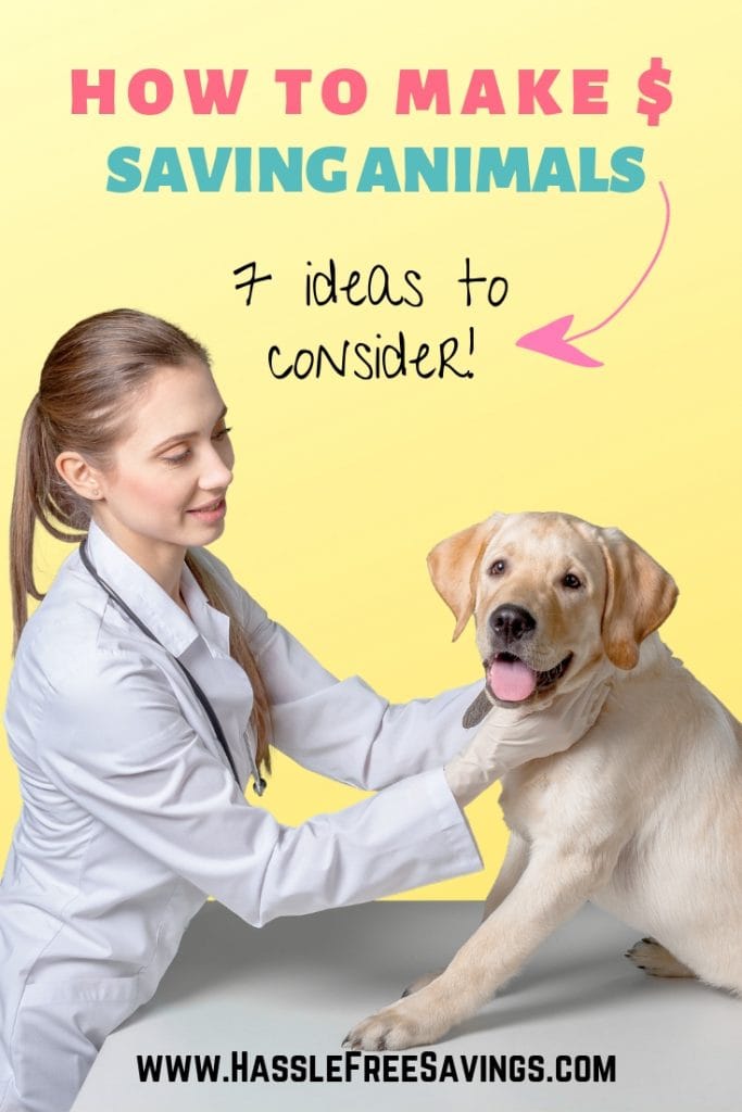 veterinary technician with dog