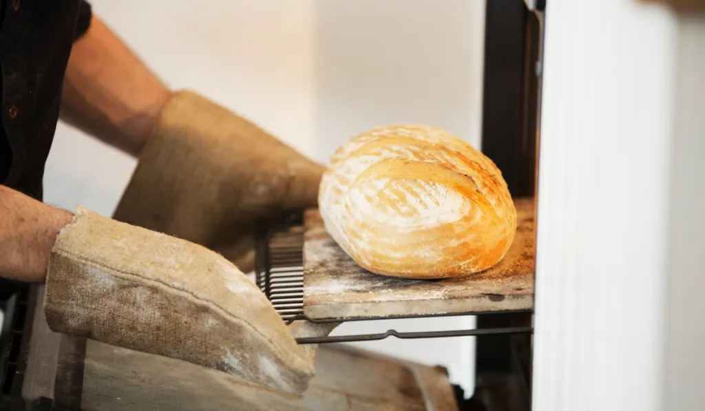 baker taking a freshly baked loaf bread out of an oven.
