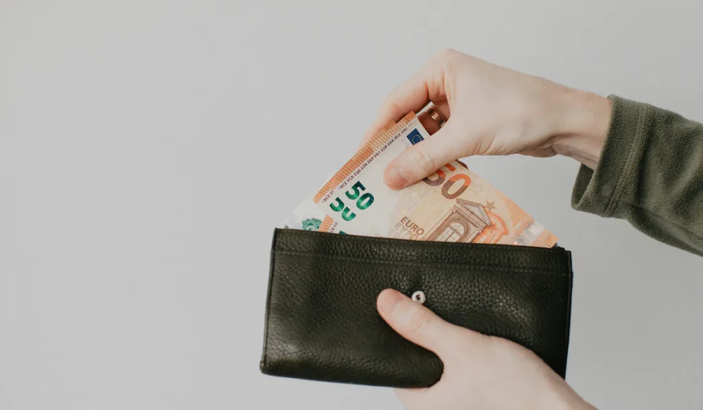 Euro money are taken out of the wallet on light gray background