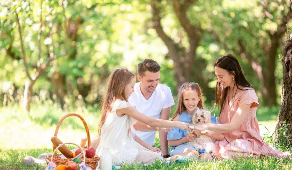 Happy family on a picnic in the park on a sunny day
