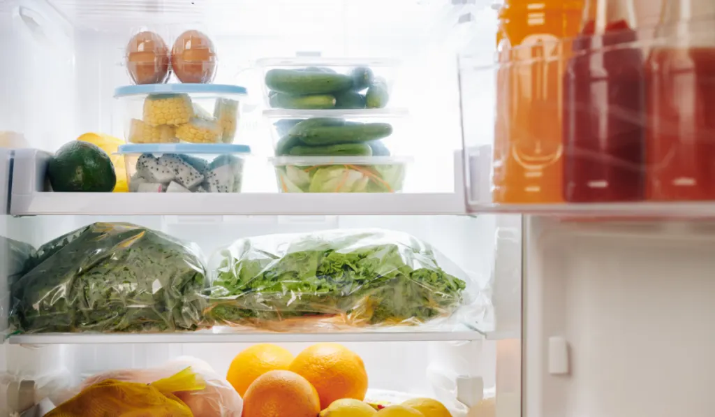 Refrigerator full of food
