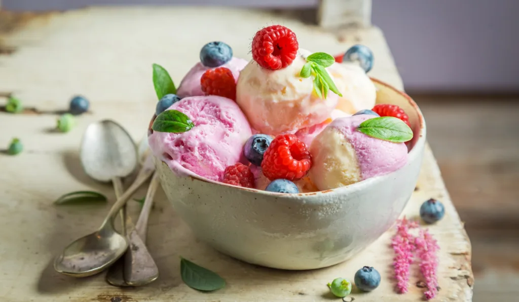 Sweet and tasty ice cream made of fruits and yogurt
