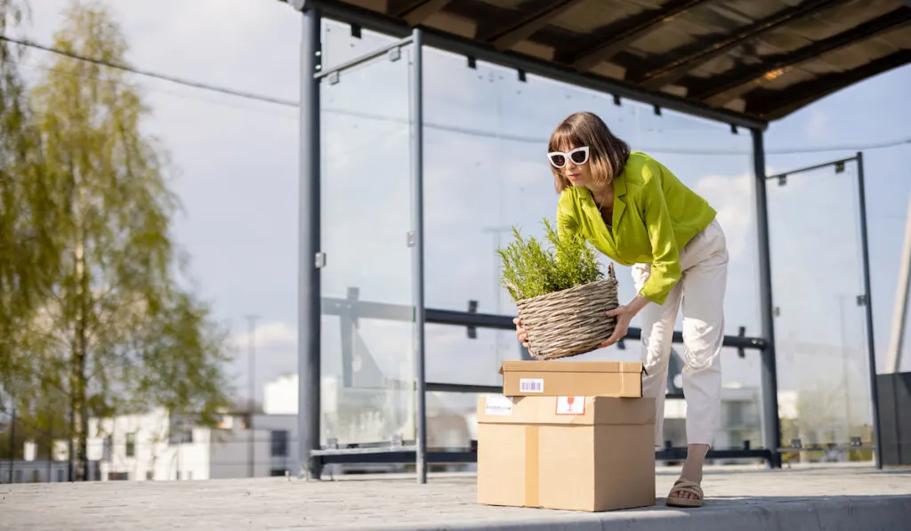 Woman with parcels and flowerpot on a bus stop
