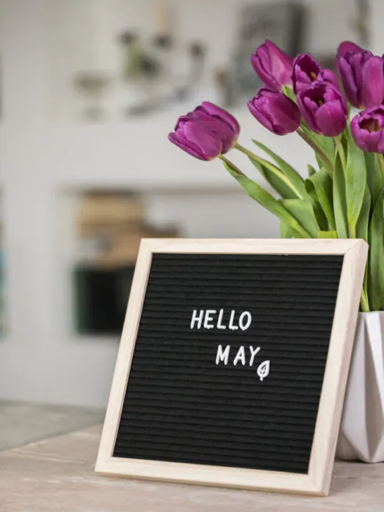 Text Hello May on letter board and bouquet of purple Tulips flowers - ee230713