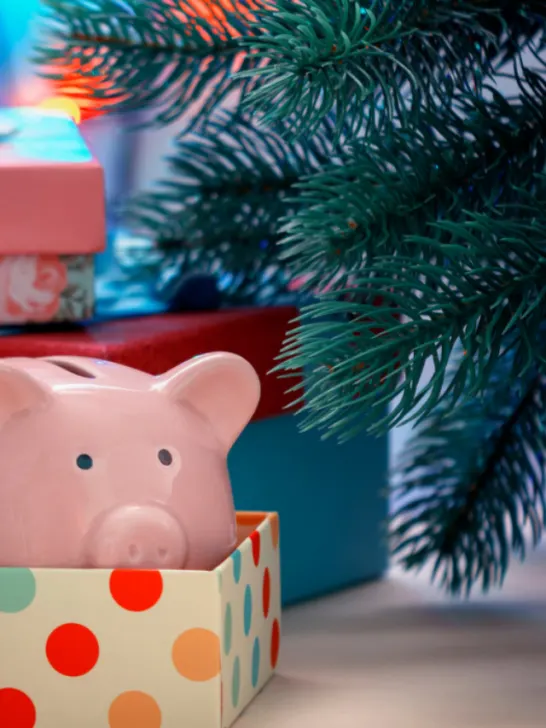 box we lay a piggy bank - ss230803