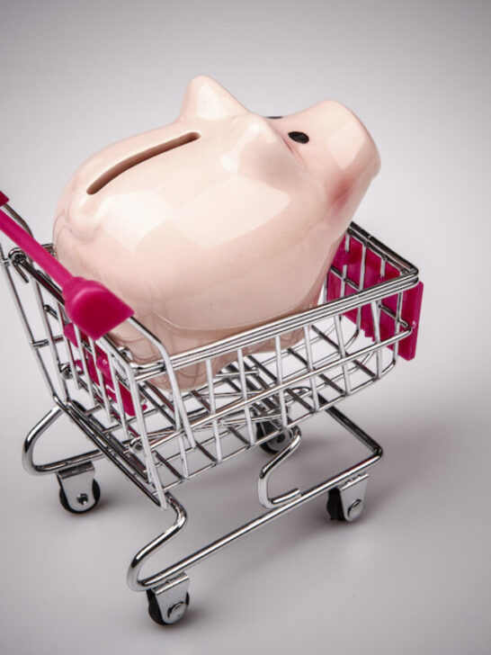 piggy bank in a grocery cart