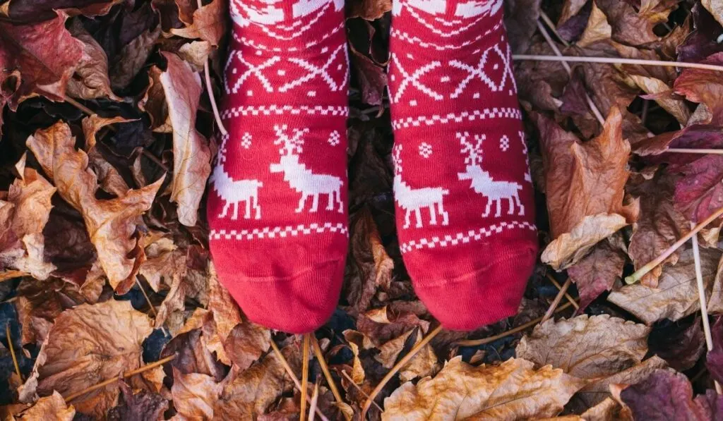 A person standing wearing Red Christmas Socks on autumn leaves