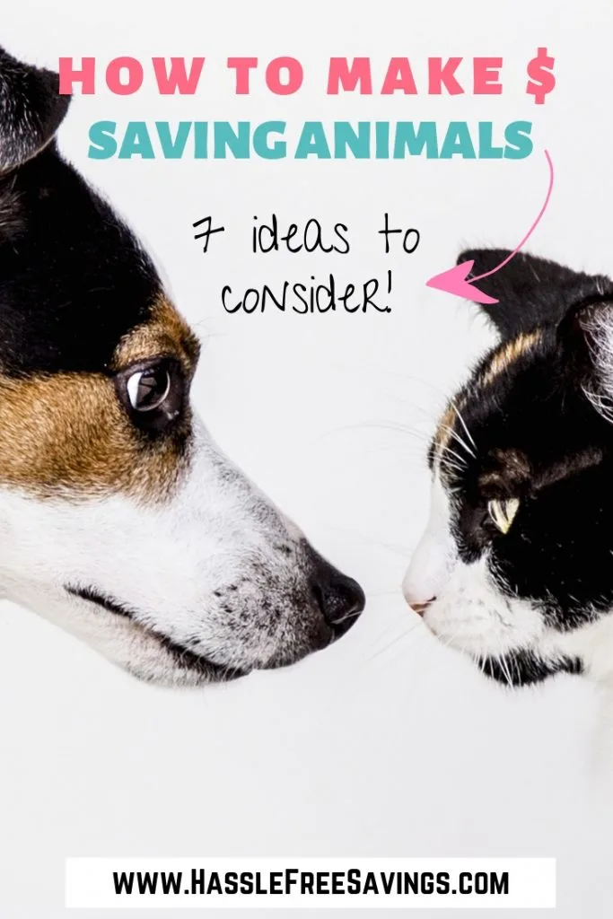 Pinterest Pin - How to Make Money Saving Animals 7 Ideas To Consider