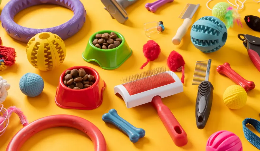 different pet accessories and pet food on a bright yellow table